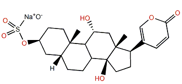Gamabufotalin 3-sulfate